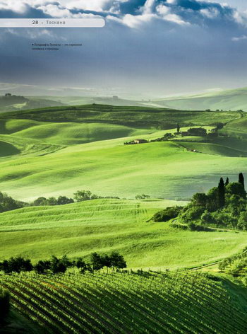Панорама лугов и виноградников Культурного ландшафта Валь д'Орча в Тоскане