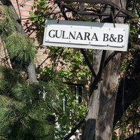  Gulnara  
